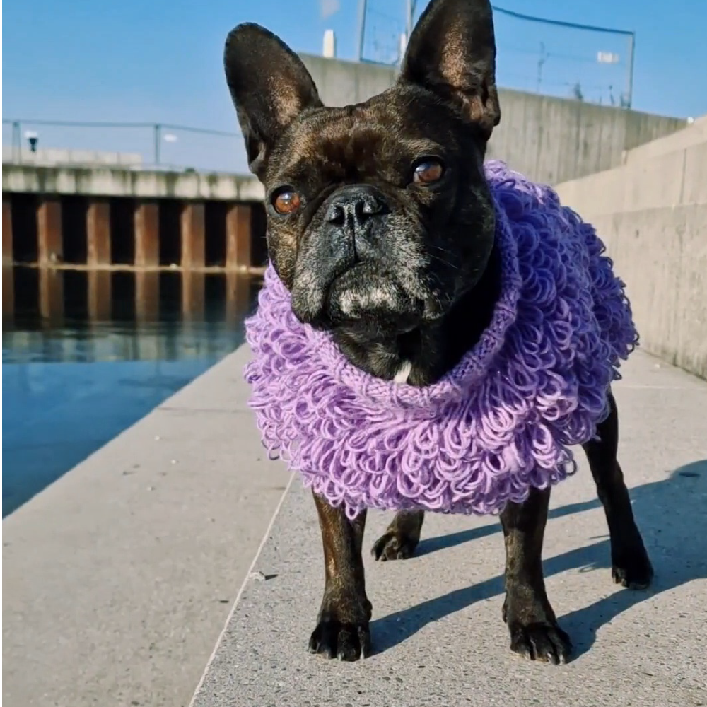 Holli's Closet gehäkelter Hundepullover in Lavendel mit Holli