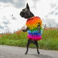 Holli's Closet gehäkelter Hundepullover mit Regenbogen mit Holli