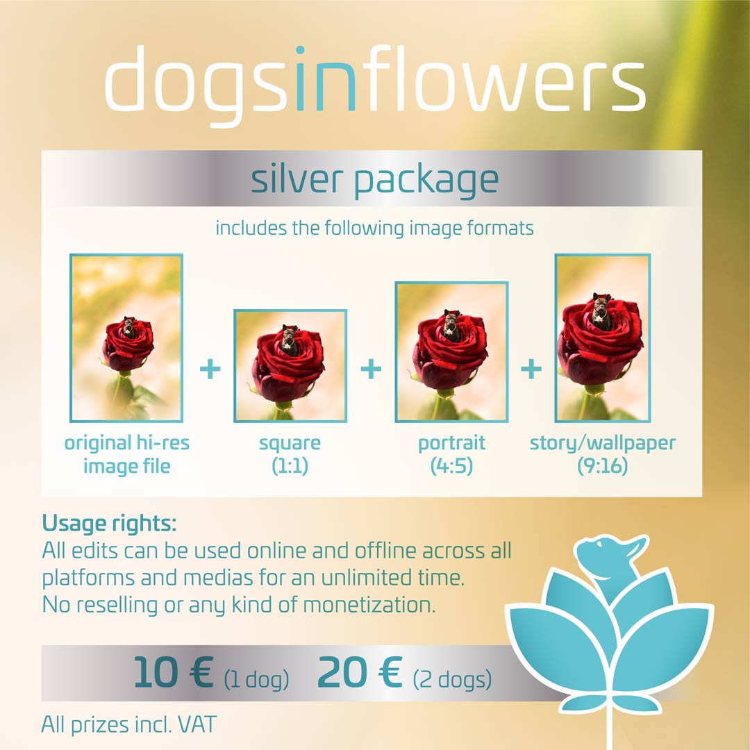 Dogs In Flowers Liebes-Spezial Silver Package