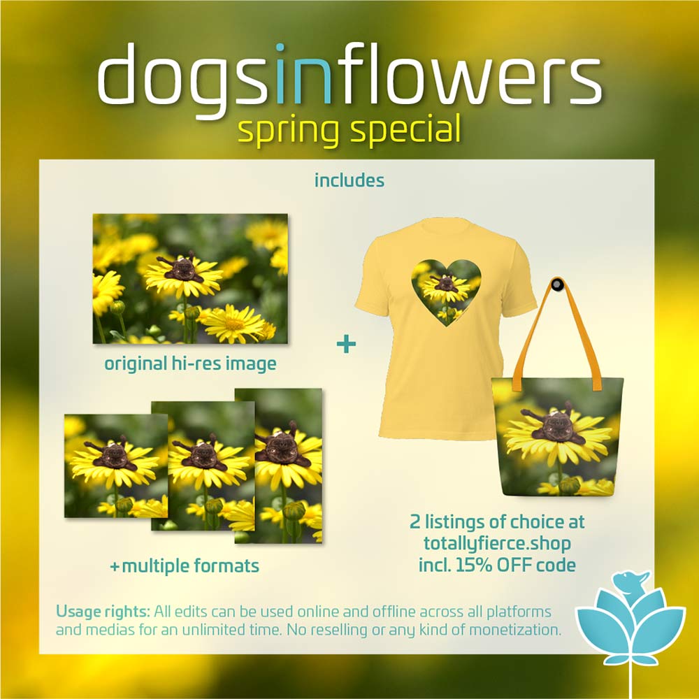 Dogs In Flowers Frühlings-Spezial Umfang